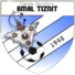 阿迈勒提兹尼特