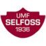 塞尔福斯